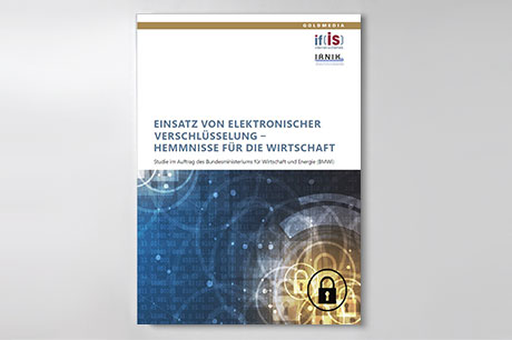Cover der Publikation Einsatz von elektronischer Verschlüsselung – Hemmnisse für die Wirtschaft