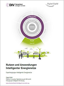 Cover der Publikation "Nutzen und Anwendung Intelligenter Energienetze"